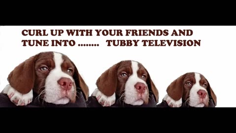 TUBBY TV