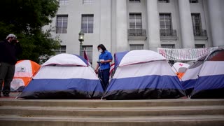 What's behind the pro-Palestinian protests at U.S. universities?