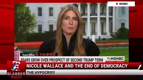 Nicole Wallace And The End Of Democracy