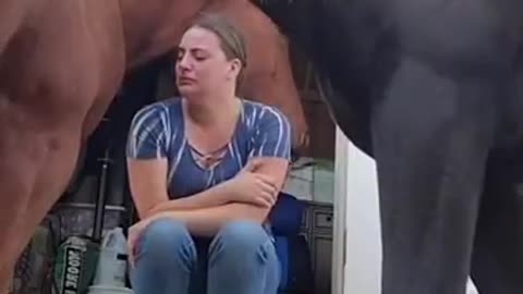 This 4 years old horse understands her owner’s emotions and reassures her