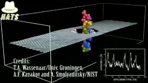 How Graphene Oxide interacts with DNA.