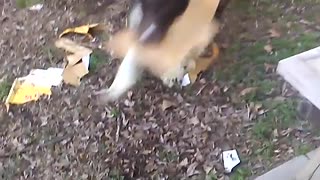 Boudreaux destroys box part 2