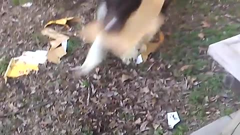 Boudreaux destroys box part 2