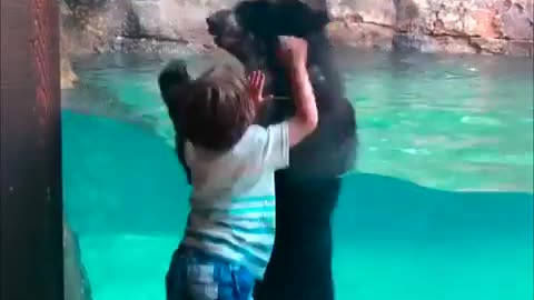 Boy and a Bear jump together.