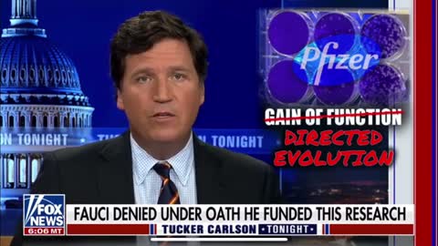 Tucker Carlson Pfizer vid deleted from Youtube (condensed).