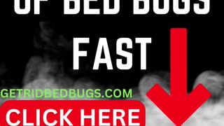 How To Get Rid Of Bed Bugs Fast