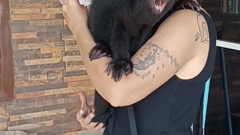 Rescued Monkey Misses Mom