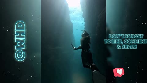 Marina Vlog | Ocean living organisms | Scuba diving #5 vlog 🦪🤿