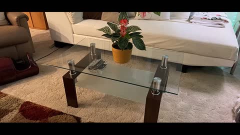 Tangkula Rectangular Glass Coffee Table, Modern Side Coffee Table wLower Shelf, Tempered Glass...