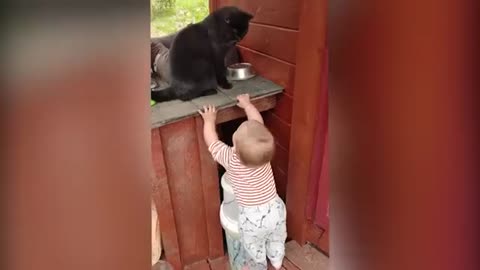 BABY AND CAT