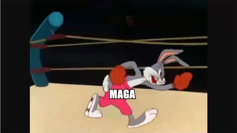 MAGA Punch(ed)