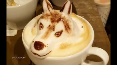 Husky in a cup