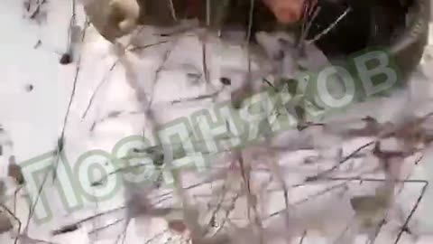 GRAPHIC 18+ Ukrainians shooting Russian soldiers in the head