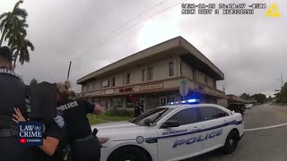 A Florida police sergeant may be seen on bodycam video grabbing a female officer by the throats.