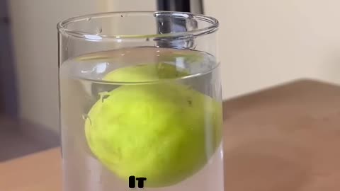 Easy simple science experiments for school students| DIY | water salt lemon sinking check|Mr MAK