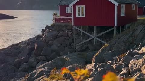 Golden hour in Norway 🇳🇴 #Norway #traveltiktok