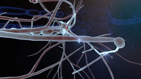 Revolutionizing Alzheimer’s Research: Cornell Scientists Develop Groundbreaking Neuron Model