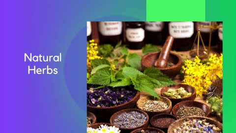 Uncover The Advantages Of Herbal Dried Botanicals