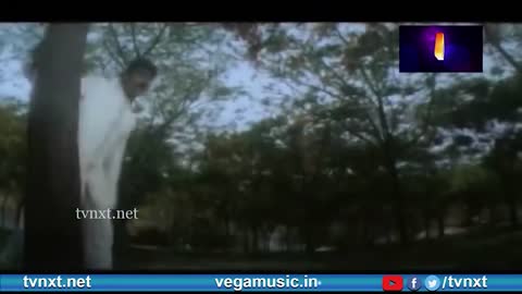 Kalalo Neeve Video Song | Family Circus Telugu Movie Songs | Jagapathi Babu | Roja | TVNXT Music