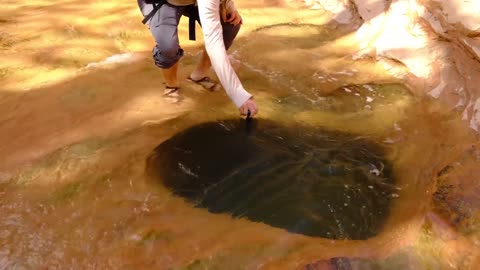 Discovering a Hidden Oasis in a Remote Desert Canyon