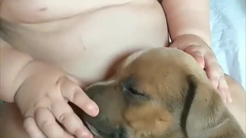 Adorable baby touches sleepy puppy as it's lays n his lap