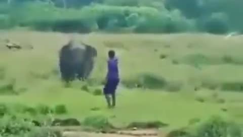 He said he was the "Elephant Whisperer"