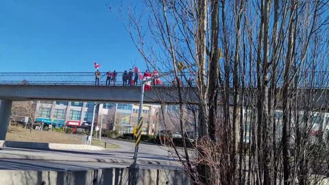 Walk The Flag Event (Day 2 Convoy Anniversary Rally) Victoria Bc (January 29, 2023)