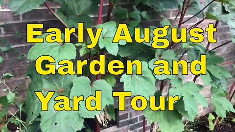 Early August Garden and Yard Tour