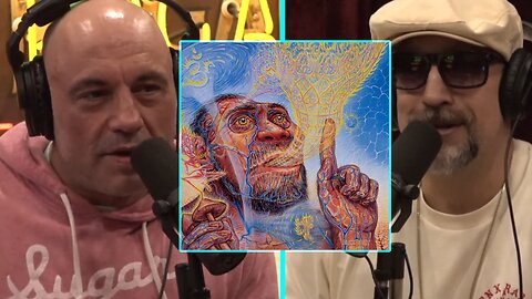 B-Real on JRE - Doing Daily Activities Stoned Vs. Sobar