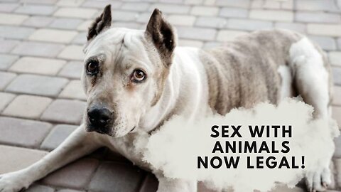 Spain makes having SEX with Animals LEGAL!