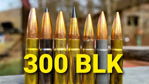 300 BLK AMMO TEST - 100 Yard Group Test