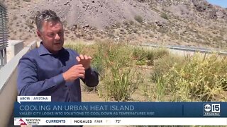 How Tempe helps cool our 'heat island'