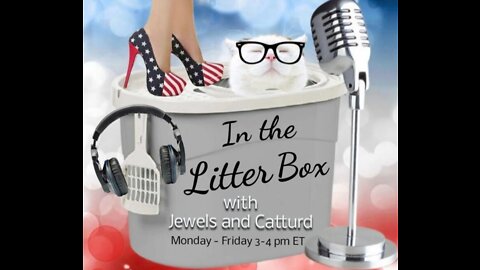 High as a kite Kamala - In the Litter Box w/ Jewels & Catturd 3/10/2022 - Ep. 37