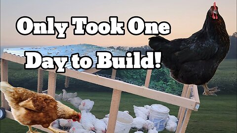 DIY Portable Chicken Coop Build