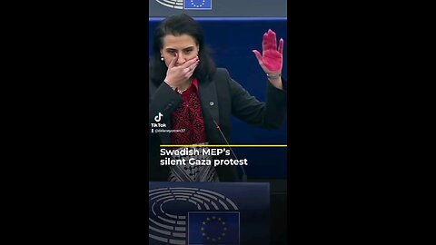 Swidish MEP's Silent Protest