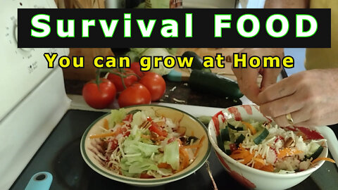 Survival food you can grow at Home