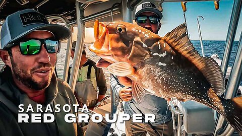 Sarasota Red Grouper Fishing Florida Offshore w/ the BallyHoop Net 2024