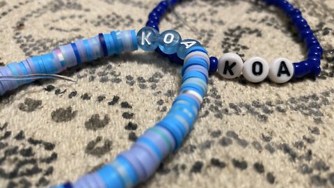 Norah's Bracelets for a Cause is collecting special donations for the abandoned pup Koa