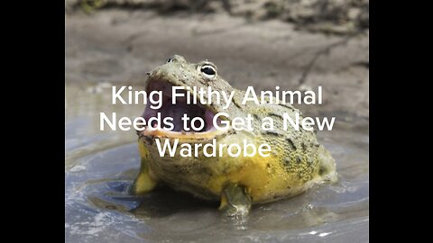 King Filthy Animal Needs a New Wardrobe
