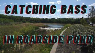 Catching Bass In A Roadside Pond