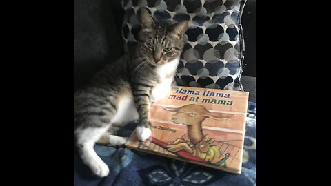 Auntie Paula reads, “Llama llama mad at mama” by Anna Dewdney