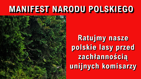 Ratujmy nasze polskie lasy przed zachłannością unijnych komisarzy