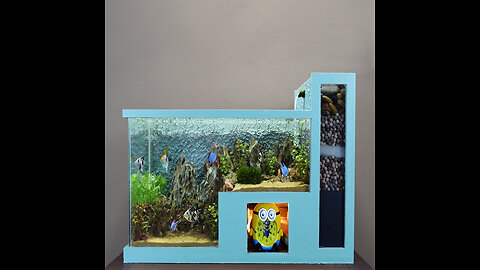 Bring little aquarium in your home