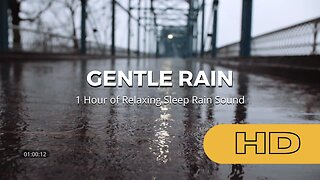 1 hour of GENTLE RAIN - Rain Sounds to Sleep, Study, Relax, Reduce Stress, help insomnia