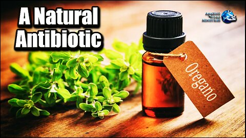 Oregano - Nature's Natural Antibiotic