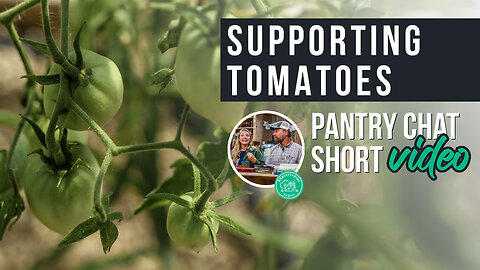 Supporting Tomatoes | Pantry Chat Podcast SHORT