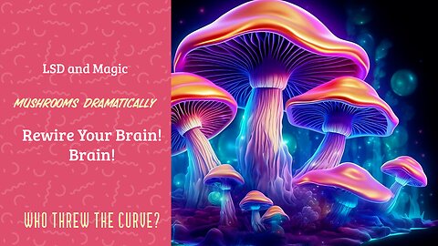 LSD and Magic Mushrooms Dramatically Rewire Your Brain! #fy #realtalk #podcast #mushroom #trending