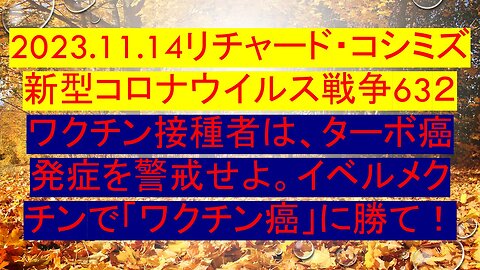 2023.11.14リチャード・コシミズ 新型コロナウイルス戦争63２