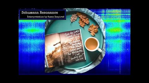 Schumann Resonance January 4 In it for the Long Haul