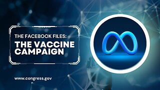 Facebook Files 2 – the vaccine campaign